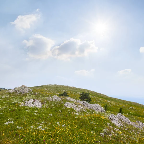 Groene Berg Boven Onder Zon Van Een Sparkle — Stockfoto