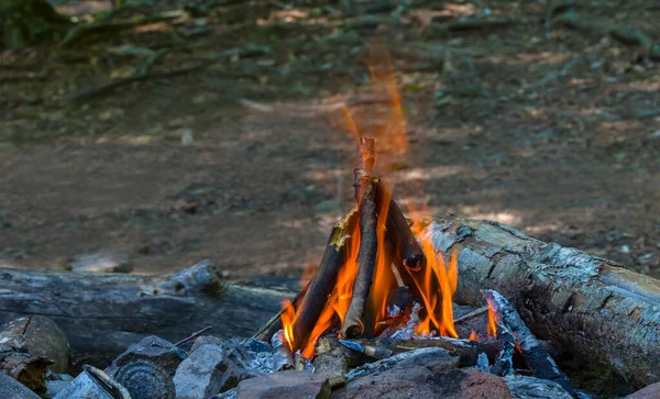 Gros Plan Petit Feu Camp Dans Forêt — Photo