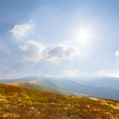 Pırıl pırıl güneş ışığı altında kuru otlarla dolu yamaçta