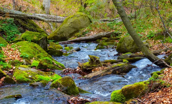 Small Mountain River Rushing Canyon — Stock Photo, Image