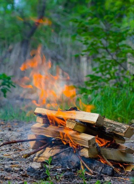 Yeşil Orman Ormanı Ndaki Küçük Kamp Ateşi Açık Hava Kamp — Stok fotoğraf