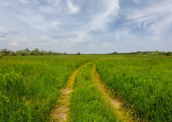 多云的天空下 绿茵的草原间的地面道路 — 图库照片