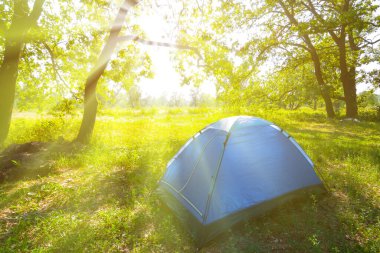 Küçük turistik çadır güneşli bir günde yeşil ormanlık arazide kalır.