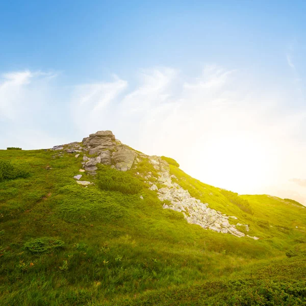 Allein Grüne Bergspitze Licht Der Abendsonne — Stockfoto