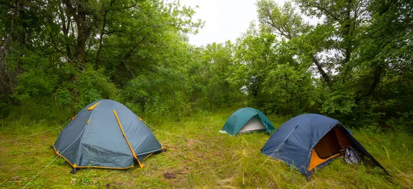 ぬれた夏の森の中の観光キャンプ自然旅行の背景 — ストック写真