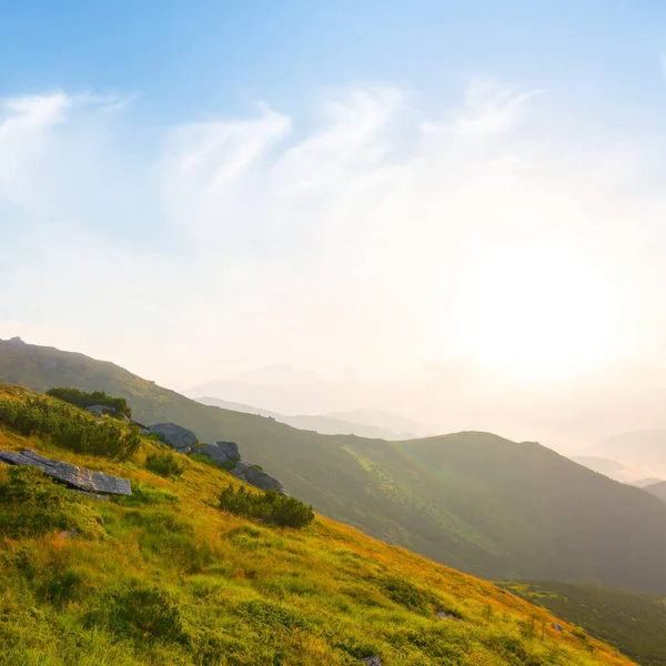 Зелена Гірська Долина Блакитному Тумані Сході Сонця Ранкова Гірська Сцена — стокове фото