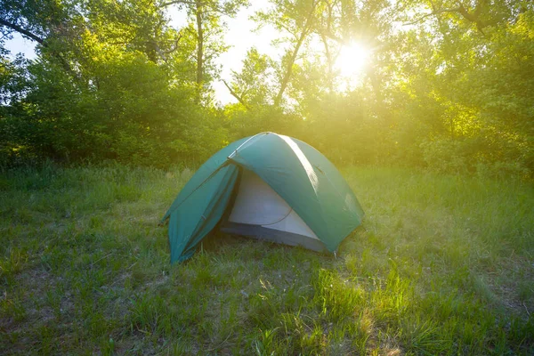 観光テントが輝く太陽の光で緑の森のグレードに滞在し 自然夏のキャンプシーン — ストック写真