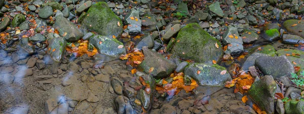 Küçük Bir Dağ Deresi Taşların Üzerinden Akıyor — Stok fotoğraf