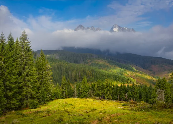 Green Mountain Valley Dense Clouds Mist Beautiful Natural Hiking Scene — Stock Photo, Image