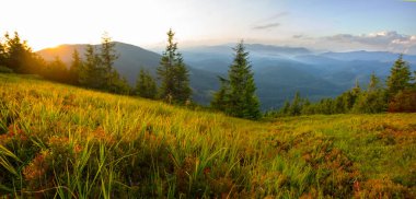 Günbatımında mavi sisli yeşil dağ vadisi, sabahın erken saatlerinde dağ manzarası