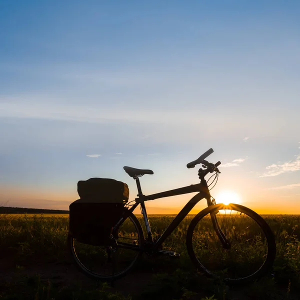 Silueta Bicicleta Pradera Dramático Atardecer Escena Deportiva Viajes Aire Libre —  Fotos de Stock