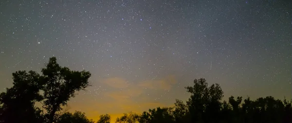 Karanlık Orman Silueti Yıldızlı Gökyüzünün Altında Gece Açık Hava Sahnesi — Stok fotoğraf