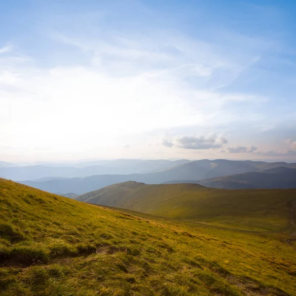 Parlak Güneşin Altında Yeşil Çimlerle Kaplı Dağ Sırtı Yaz Doğal — Stok fotoğraf