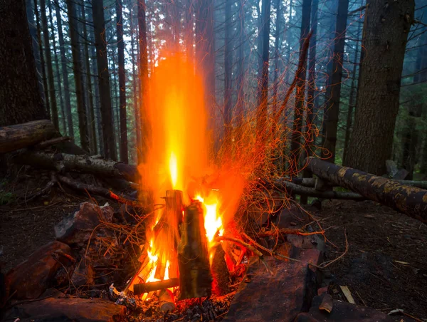 Primo Piano Campo Fuoco Nella Foresta Oscura Nebbiosa Sfondo Viaggio — Foto Stock