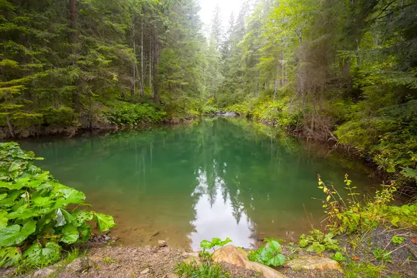 Ormandaki Küçük Zümrüt Göl — Stok fotoğraf