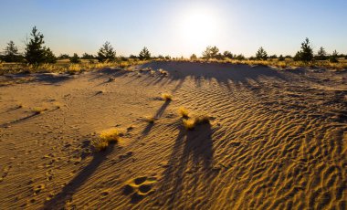 Geniş kumlu çayır günbatımında