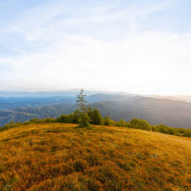 # Sabahın erken saatlerinde çimlerle kaplı tepeye # 