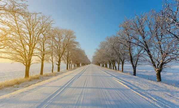 Snöbunden Landsväg Mot Bakgrund Tidig Morgonsol — Stockfoto