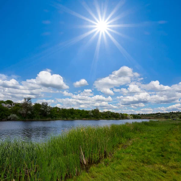Pieni Rauhallinen Joki Vihreiden Peltojen Keskellä Kesällä Aurinkoinen Päivä Kaunis — kuvapankkivalokuva