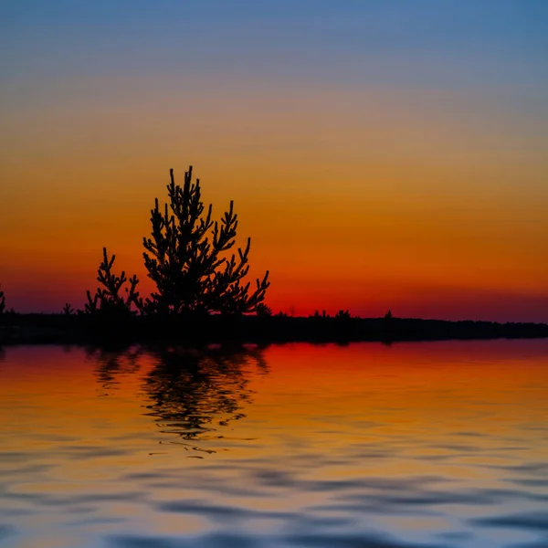 Silhueta Abeto Sozinho Refletida Lago Calmo Crepúsculo Dramático Fundo Conceito — Fotografia de Stock