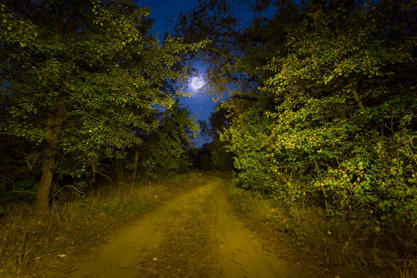 輝く月の下で夜の森を抜ける地上道路 — ストック写真