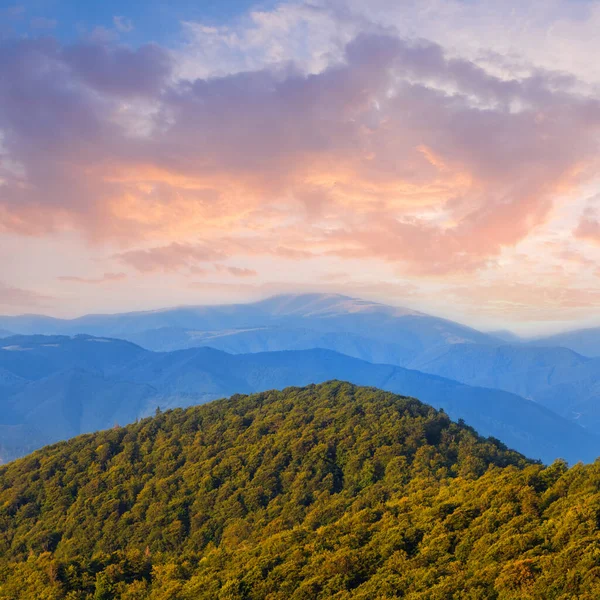 Zelené Horské Údolí Modré Mlze Večer — Stock fotografie