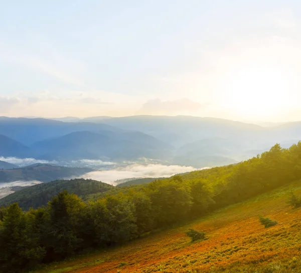 Colorido Valle Montaña Amanecer Hermoso Fondo Natural — Foto de Stock