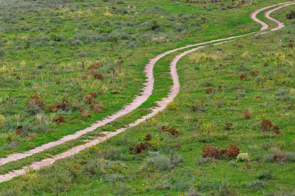 Yeşil Tarlaların Kırsal Alanların Arasında Bükülmüş Toprak Yol — Stok fotoğraf