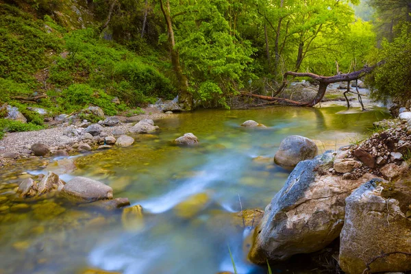 Маленька Річка Тече Через Гірський Каньйон — стокове фото