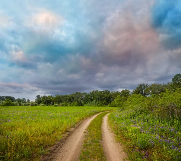 Pozemní Cesta Mezi Zelenými Poli Pod Hustou Zamračenou Oblohou — Stock fotografie