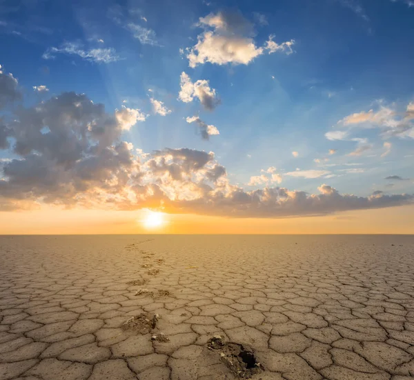 Terra Rachada Seca Com Trilha Humana Por Sol — Fotografia de Stock