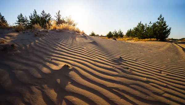 Amplo Deserto Arenoso Quente Pôr Sol Fundo Natural Selvagem — Fotografia de Stock