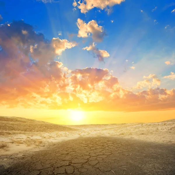 Droge Gebarsten Aarde Bij Zonsondergang — Stockfoto