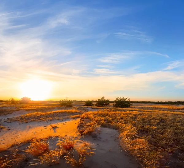 Brede Zandige Prairie Bij Zonsondergang Natuurlijke Outdoor Achtergrond — Stockfoto