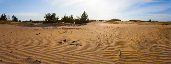 Wide Sandy Desert Sunset — Stock Photo, Image