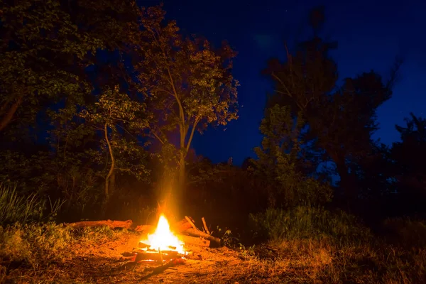 Obozowy Ogień Nocnej Polanie Lasu — Zdjęcie stockowe