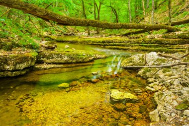 Dağ kanyonundan akan küçük bir nehir