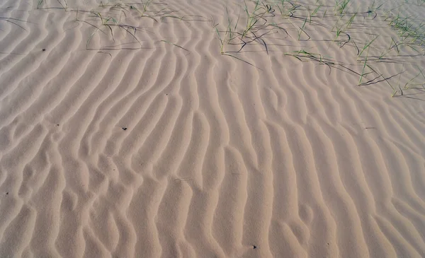 Close Zandduin Woestijn Natuurlijke Wilde Achtergrond — Stockfoto