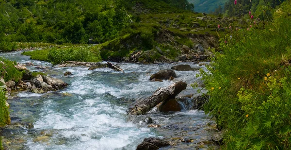 Rivière Précipitant Dans Vallée Verdoyante Montagne — Photo