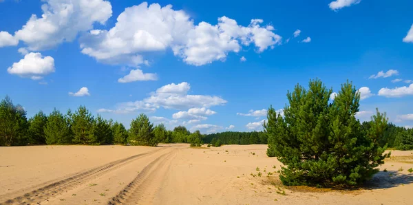 在蓝云的天空下穿过沙质沙漠的乡村道路 — 图库照片