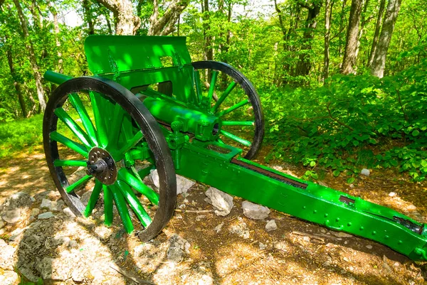 Vecchio Cannone Soggiorno Nella Foresta Monumento Della Seconda Guerra Mondiale — Foto Stock