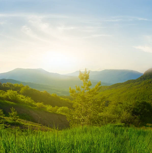 Grön Bergsdal Vid Solnedgången — Stockfoto