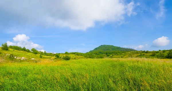 Bergvallei Bedekt Met Groen Gras — Stockfoto