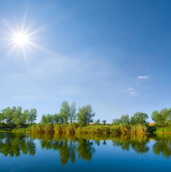 Güneşli Bir Günde Küçük Sakin Bir Nehir Yazları Doğal Kır — Stok fotoğraf