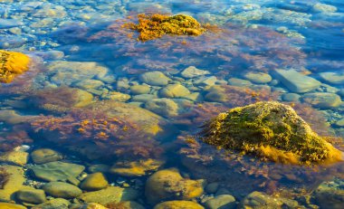 Deniz körfezi kıyısındaki suya yakın kayalar.