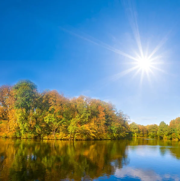 Тихая Река Лесом Побережье Осенний Солнечный День — стоковое фото