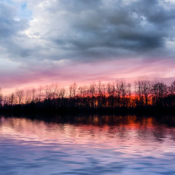 Dramatic Sunset Forest Silhouette Reflected Lake — Stok fotoğraf
