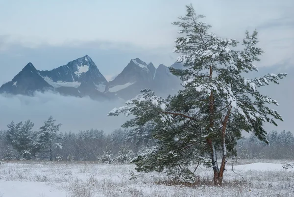 Schneebedecktes Gebirgstal Dichten Wolken Und Nebel — Stockfoto