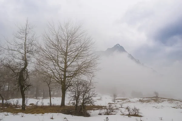 Χιονισμένη Ορεινή Κοιλάδα Δάσος Πυκνά Σύννεφα Και Ομίχλη — Φωτογραφία Αρχείου