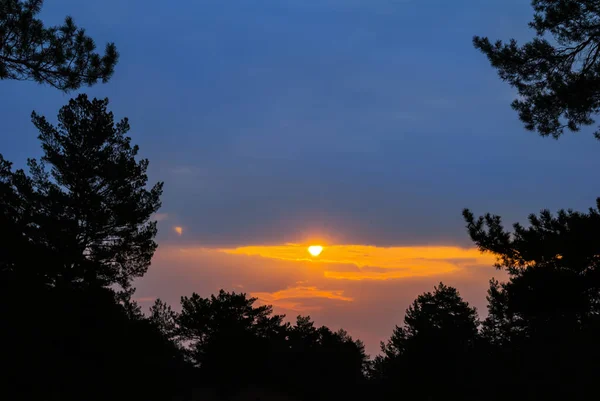 View Forest Silhouette Dramatic Sunset — Photo